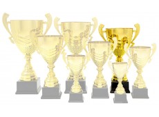 1023 C - Premium Cup